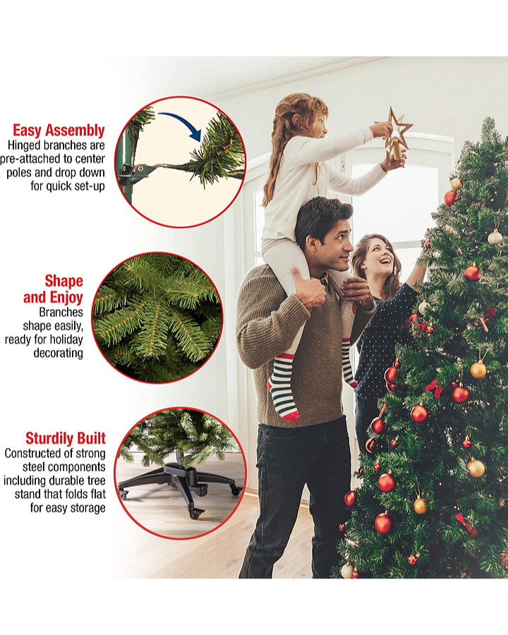 Balsam Joy Classic Evergreen Tree (Copy) (Copy)