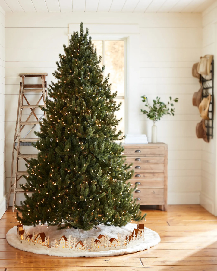 Balsam Joy Classic Evergreen Tree (Copy) (Copy)