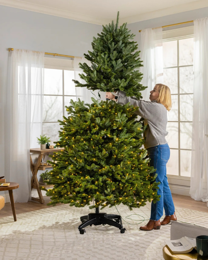 Balsam Joy Classic Evergreen Tree (Copy) (Copy)