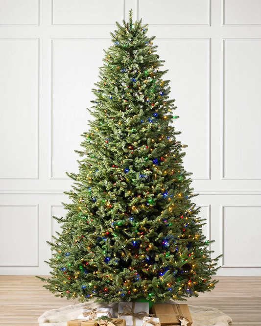 Balsam Joy Classic Evergreen Tree (Copy)